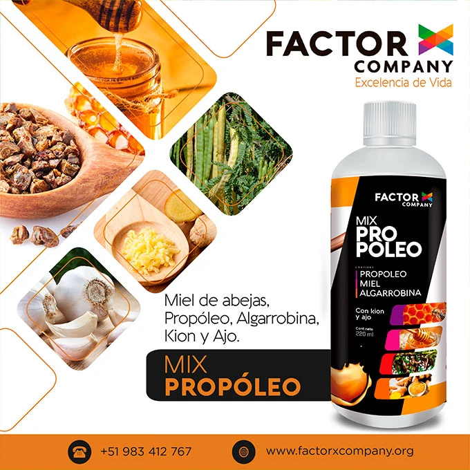 Publicación 7 de factorxcompany