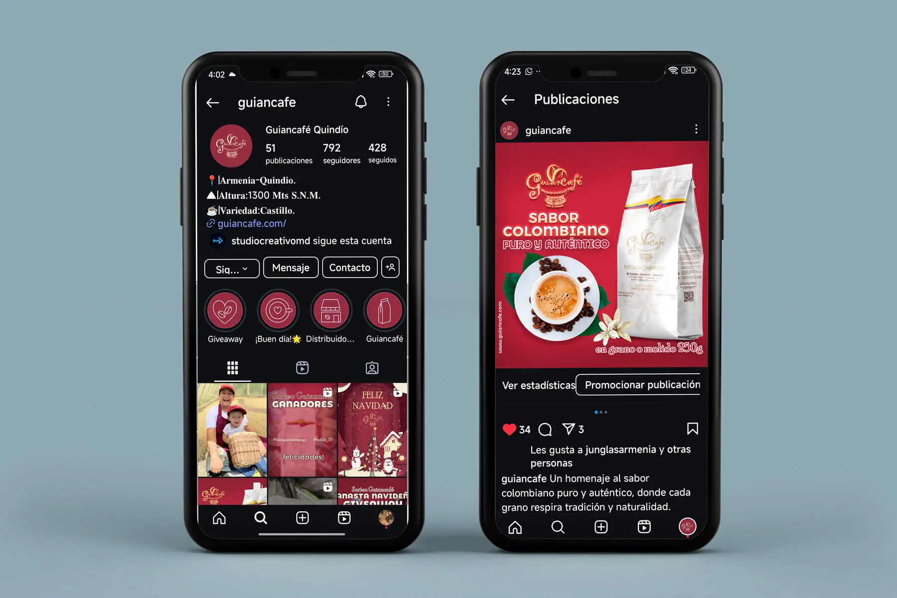 Mockup perfil Instagram + vista de publicación